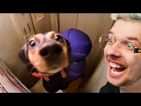 NAJGŁUPSZE POMYSŁY NA ŚWIECIE! #8 🤣🤣