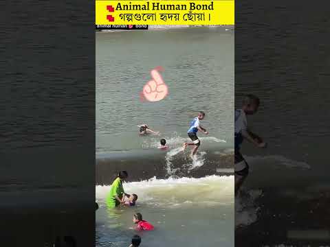 এই কুকুরটির মানবতাবোধ কোনো কোনো মানুষের থেকেও বেশি! 🐶💪 #facts