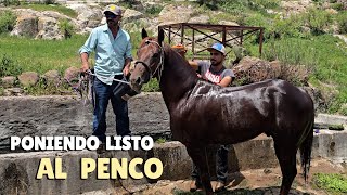 ¡QUE ALEGRES SON LOS RANCHOS CUANDO LLEGAN SUS PAISANOS!