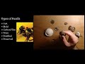 Fossil Formation and Types