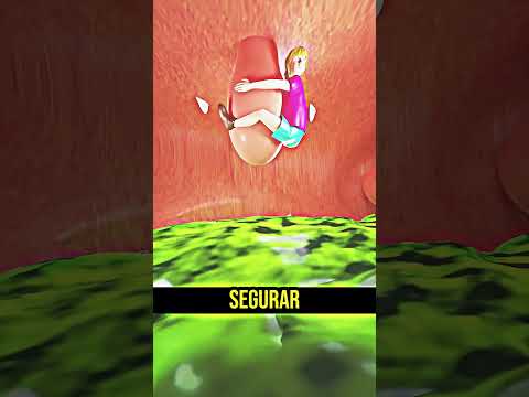 E se um Megalodon te engolir?