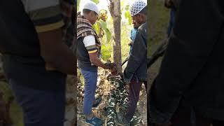 aatanki #ne Indian army ko# kidnap Kiya viral video #youtube new rahul Indian# boy ka video#