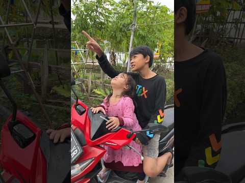 LIHAT DEK DISANA ADA APA❓❗️