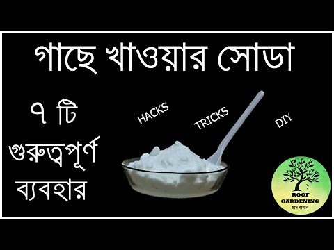 গাছে খাওয়ার সোডা দিলে কি হয় /  Uses of baking soda in plants  sodium bicarbonate