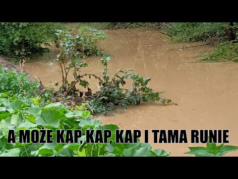 A MOŻE KAP ,KAP, KAP I TAMA RUNIE - KUCYK