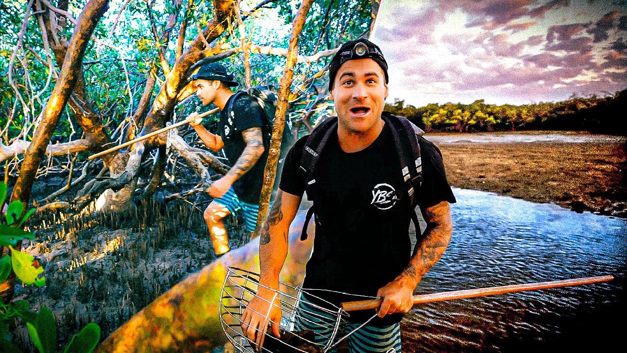 Catching Giant Mud Crab In Remote Mangrove Forrest (Venomous Sea Snakes & Stone Fish) - Ep 274