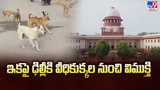 ఇకపై ఢిల్లీకి వీధికుక్కల నుంచి విముక్తి - TV9