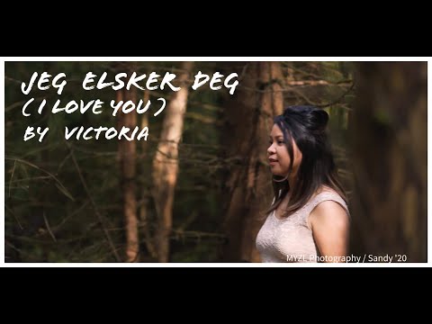 Jeg Elsker Deg ( I love you)