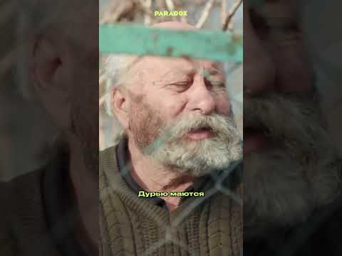 Лучшая работа в станице