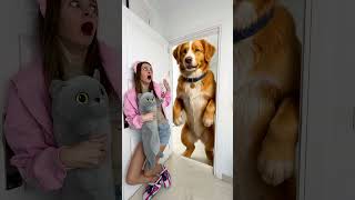 OMG Can Player escape from the Mouse?