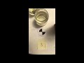 Nutrient Pollution and Eutrophication Concepts