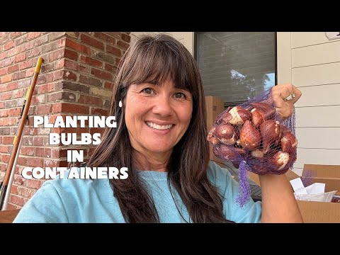 Live with Lisa - Squirrel-Proof Way to Grow Tulips in Posts