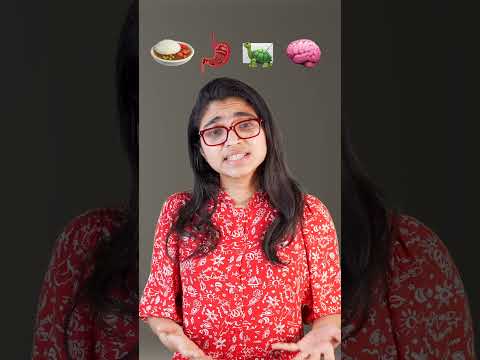 দ্রুত খাওয়ার অভ্যাস