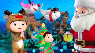 Sharks in Santa Hats! A Festive Christmas at the Aquarium! 🦈🎅 | Fun Baby Songs | Classic Baby Song