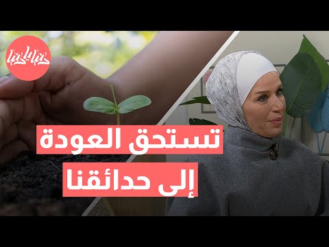 نباتات منسية: سهلة العناية وتستحق العودة للحدائق