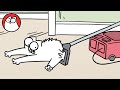 Understanding the Video Tutorial