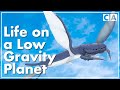 Life Forms and Adaptations on Anu