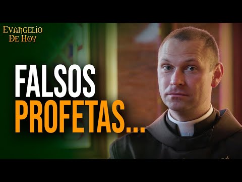 ¿Cómo DISTINGUIR un PROFETA? 📖 Evangelio de hoy (25 jun. 25)