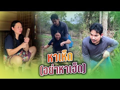 หาเห็ดอย่าหาเฮ็ด