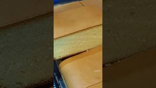 대왕 카스테라 자르기 / Cutting the Great Castella #shorts / korean street food