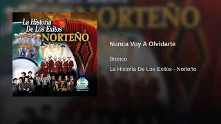Nunca Voy A Olvidarte