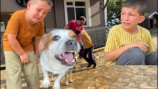 BU ÇETE KİMSENİN GÖZYAŞINA BAKMIYOR ÇOCUKLAR SAĞ KURTULDU