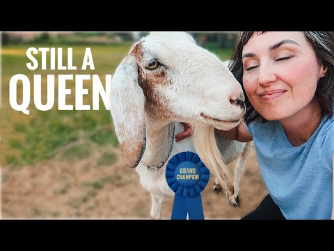 She’s 16, Can Barely Walk… and Still a Star ⭐