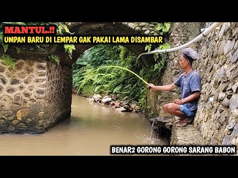 MANCING DI GORONG GORONG PINGGIR JALAN || TERNYATA SARANG IKAN WADER BABON