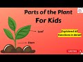 Plant Biology and Photosynthesis Concepts