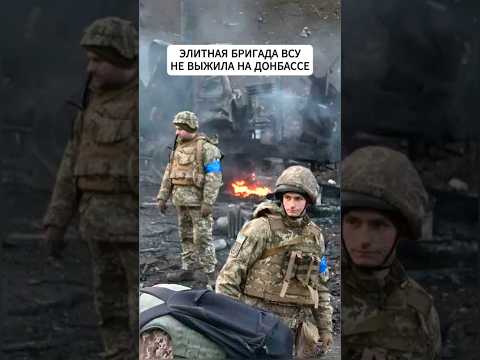 Французская бригада ВСУ закончилась под Покровском #новости #всу #shorts #shortvideo #украина