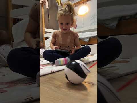 Мой новый робот-помощник