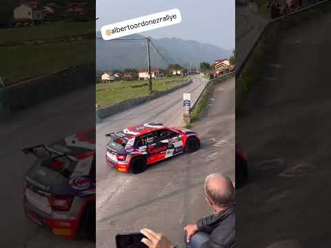 BRAKE ON THE LIMIT -- WorldRallyMotorsport