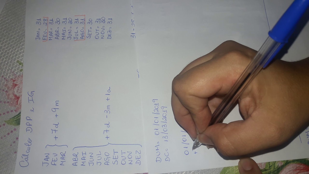 Calculo De DPP E IG