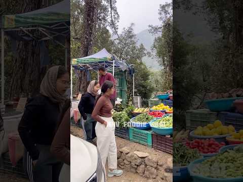 देवभूमि उत्तराखंड की अनोखी पहाड़ी सब्जियाँ जो चलती है 1 साल 😳 #shorts #nainital #trending #ytshorts
