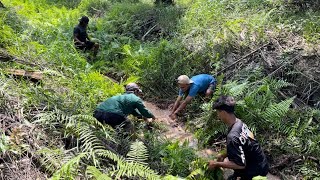 Kemarau 2025 Tiba Keluarkan Puluhan Kilo Gram Ikan Toman Dari Bawah Rumput Cina 😱😱😱