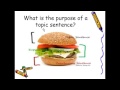 Body Paragraph Structure and Purpose