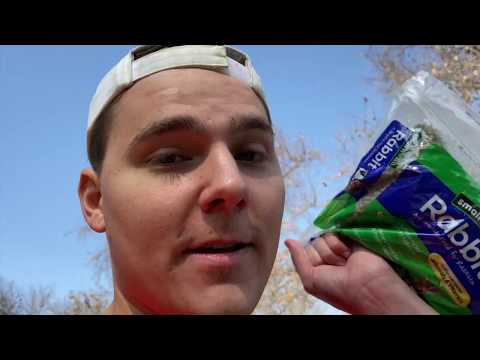 how i get stuff for free vlog