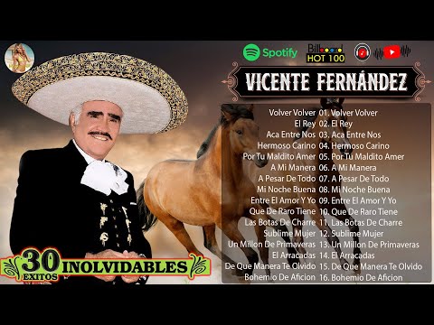 VICENTE FERNÁNDEZ MEJORES CANCIONES VICENTE FERNÁNDEZ 20 GRANDES ÉXITOS MIX