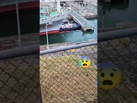 Tragic Tugboat Accident | Cargo Ship Crushes Tug at Port 🚢⚓#accident #shorts