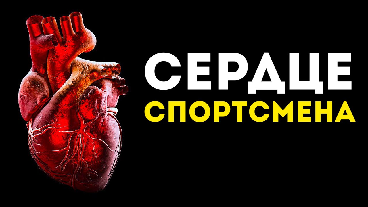 Вот чем отличается сердце спортсмена от обычного человека