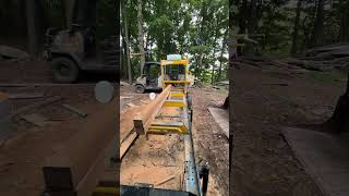 Milling lumber for the goat barn and goats are in heat driving us crazy #homesteading #sawmill