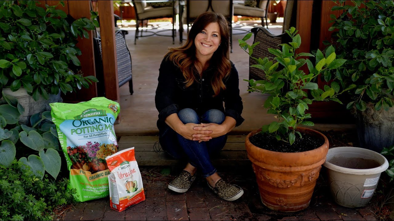 Growing Citrus Trees in Containers!