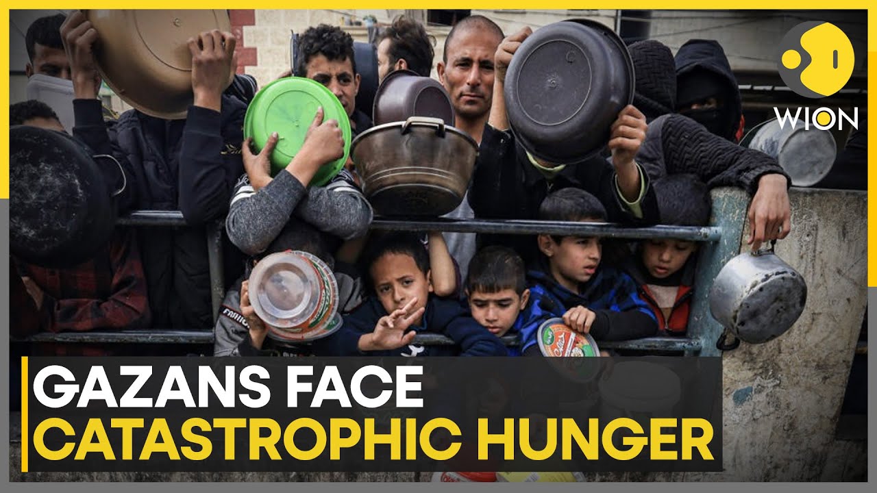 Israel-Hamas war: 100 days of war has brought Gaza to the brink of Famine : WFP