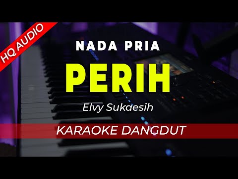 PERIH || KARAOKE || ELVY SUKAESIH || DANGDUT || NADA PRIA / COWOK – HQ AUDIO