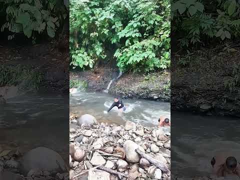 rắn hay trăn #bixanh #shorts
