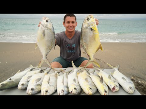 Florida's MOST Expensive Fish! Catch Clean Cook- Florida Pompano