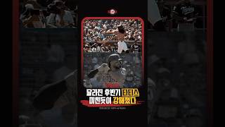 후반기 미친듯이 폭주하는 타티스ㅣ260823 Twins vs Padres