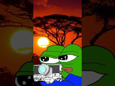 EL DINOSAURIO QUE LOGRO SOBREVIVIR HASTA LA ACTUALIDAD