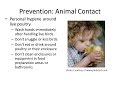 Farm Safety and Hygiene Practices