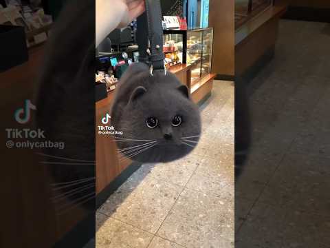 ZROBIŁAM TORBĘ Z KOTA😺